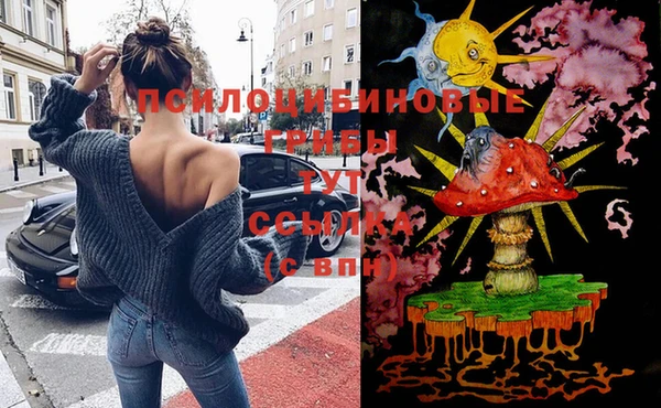 мет Балахна