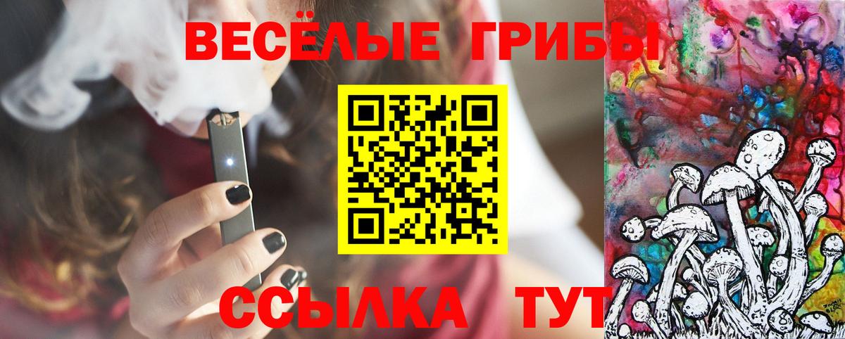 Галлюциногенные грибы MAGIC MUSHROOMS Усть-Джегута